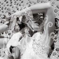 BERTUS Björk - Vespertine (2lp, 180g, Reissue) (3d7271)