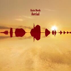 WARNER Kate Bush - Aerial (2lp, Reissue, Remastered) (0190295593827)
