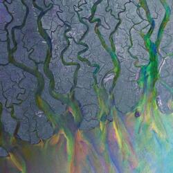 BERTUS Alt-j - An Awesome Wave (1 Lp, Limited Coloured Vinyl) (1d5209)