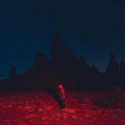 BERTUS Phoebe Bridgers - Punisher (1lp, Download Code, 24 Page Lyric Booklet) (z38530)
