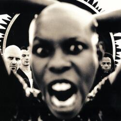BERTUS Skunk Anansie - Stoosh (1lp) (w90794)