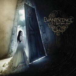 UNIVERSAL EVANESCENCE - THE OPEN DOOR (2LP, LIMITED EDITION, GREY COLOURED VINYL, RSD2021) utolsó példányok! (7223804)