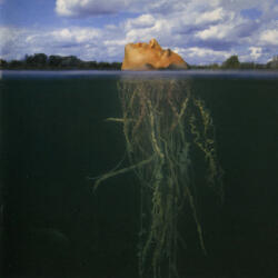 BERTUS Mars Volta - De-loused In The Comatorium (2lp, Coloured Vinyl) (5a9903)