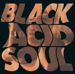 BERTUS Lady Blackbird - Black Acid Soul (1cd) (2c7968)