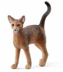 Schleich Pisica abisiniană Schleich (OLP102613964)