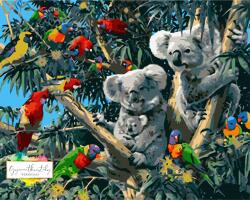 Blinky Bill (koala) 40x50 cm számfestő készlet kerettel (SZ13)