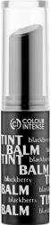 Colour Intense Balsam de buze „Blackberry - Colour Intense Lip Care Tint Balm 4 g