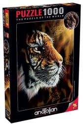 Anatolian Wild Tiger 1000 db-os (1097)