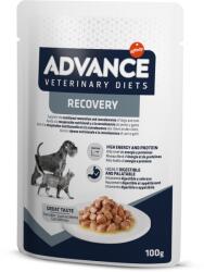 ADVANCE Hrana umeda pentru caini si pisici Advance Recovery - plic 1x100 g