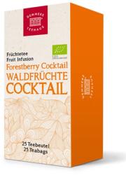 DEMMERS TEEHAUS Quick-T Forestberry Cocktail ceai plic aromat bio 25buc