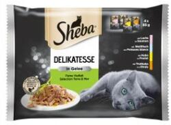 Sheba Delikatesse hrana umeda pisici adulte selectie de carne si peste in aspic 4 x 85 g