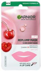 Garnier Mască pentru hidratarea și refacerea pielii uscate a buzelor cu extract de cireșe și provitamina B5 - Garnier Skin Naturals 5 g