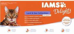 Iams Delights Adult Land & Sea Collection in gravy 48x85 g