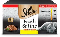 Sheba Fresh & Fine in sauce 50x50 g