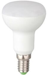  Set 10 x Bec LED Spot R39 4W E14 5000K Total Green