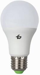  Set 10 x Bec LED EVO3.0 A60 8W E27 3000K Total Green