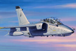 HobbyBoss AMX-T Trainer 1: 48 (81743)