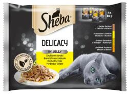 Sheba Fine Flakes hrana umeda pisici adulte selectii de pasare in aspic 4 x 85 g