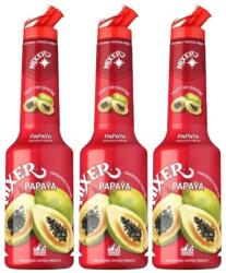 Mixer Set 3 x Pulpa Papaya 100% Concentrat Piure Fructe Mixer, 1 l