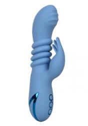 CalExotics Vibrator Santa Cruz Coaster California Dream Vibrator