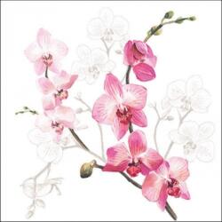 Ambiente Orchid papírszalvéta 33x33cm, 20db-os - szep-otthon