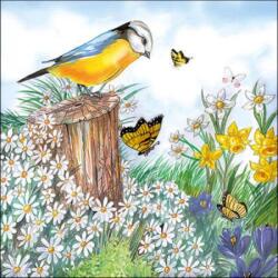 Ambiente Bird Watching papírszalvéta 33x33cm, 20db-os