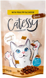 Catessy Catessy Pachet economic Knabber-Snacks 15 x 65 g - Pasăre, brânză & taurină