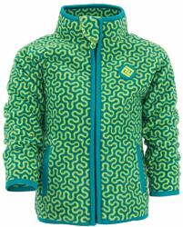 Pidilidi Hanorac fleece pentru băieți, Pidilidi, PD1116-02, verde - 116 | 6let