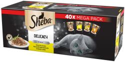 Sheba Delicacy in jelly poultry 40x85 g