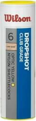 Wilson Dropshot 6
