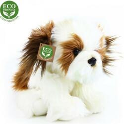 Rappa Shih Tzu 21 cm