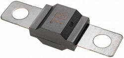 HELLA siguranta fuzibila HELLA 8JS 742 901-031 (8JS 742 901-031) - automobilus