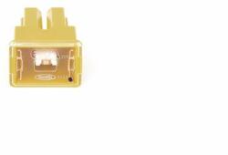 Bosch siguranta fuzibila BOSCH 1 987 529 066 (1 987 529 066) - automobilus