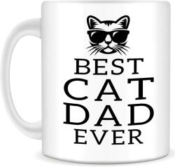 Cana alba din ceramica, cu mesja, pentru iubitorii de pisici, Best cat dad ever, model 4, 330 ml (NBNCJ62)