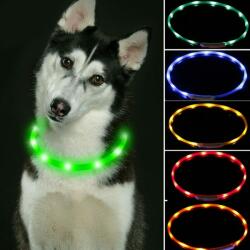 Reedog Easy Light világító nyakörv kutyáknak- univerzális méret - sárga