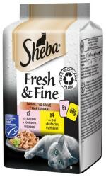 Sheba Fresh & Fine hrana umeda pentru pisici adulte pui si curcan 6 x 50 g