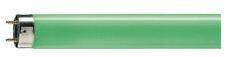 Philips Fénycső 1, 5m zöld általános-hez T8 G13 58W 6750lm 170 15000h zöld MASTER TL-D 58W/ 17 Philips - 928049001705 (928049001705)