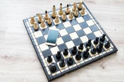  Fa verseny sakk-készlet - sakkuzlet - 36 900 Ft