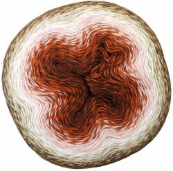 Scheepjes Whirl 777 - Almás Karamellatorta