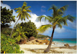 Ideal Lux Fototapet natura - Plaja Praslin Seychelle (8-885)