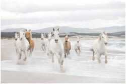 Ideal Lux Fototapet cai - Libertatea animalelor (8-986)