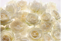 Ideal Lux Fototapet trandafiri albi Aroma de Shalimar (XXL4-007)