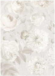 AA Design Fototapet cu trandafiri salbatici in nuante gri (XXL2-066)