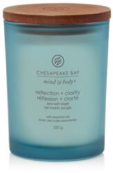 Chesapeake Bay Reflection + Clarity lumânări parfumate 250 g