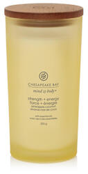 Chesapeake Bay Strength + Energy lumânări parfumate 355 g