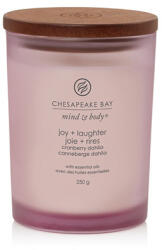 Chesapeake Bay Joy + Laughter lumânări parfumate 250 g