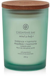 Chesapeake Bay Balance + Harmony lumânări parfumate 250 g
