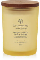 Chesapeake Bay Strength + Energy lumânări parfumate 250 g