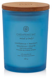Chesapeake Bay Confidence + Freedom lumânări parfumate 250 g