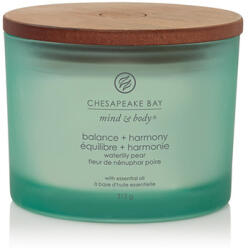 Chesapeake Bay Balance + Harmony illatgyertya 3 kanóccal 312 g